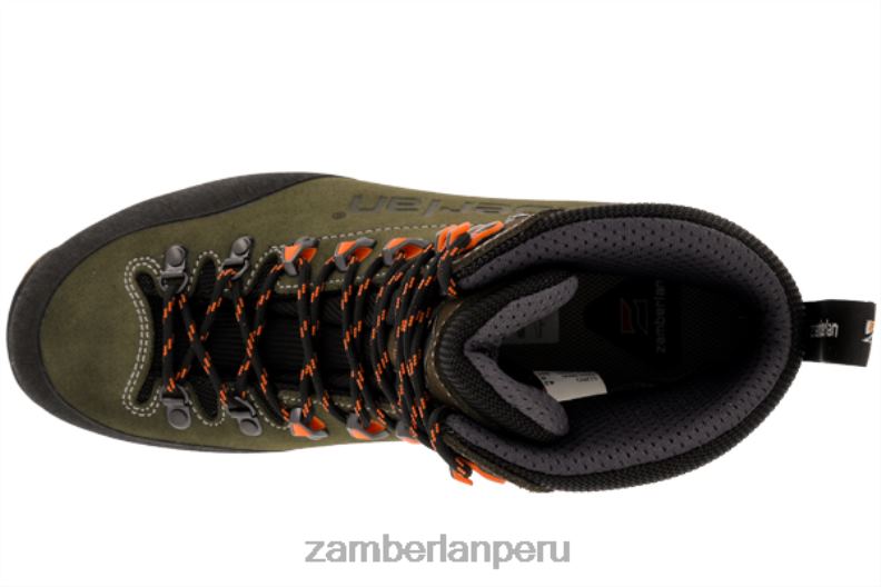 Zamberlan almizcle hombres baltoro lite gtx cf 6L4T671